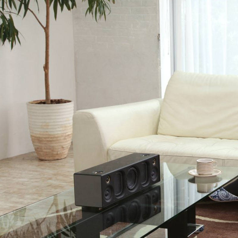 Sony SRS-X99 Multiroom Wireless High Resolution Audio Speaker