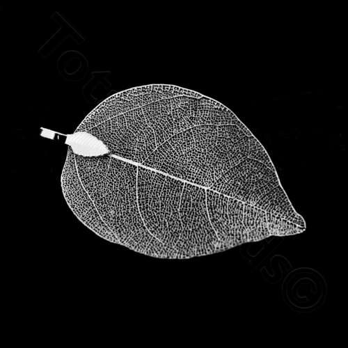 Electroplated Small Leaf - Silver Plated