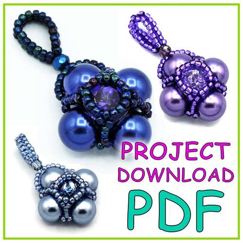 Cassandra Project Download - PDF Instructions