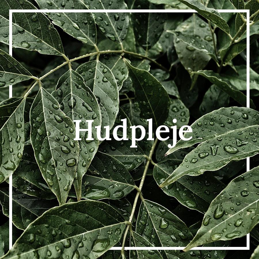 Hudpleje