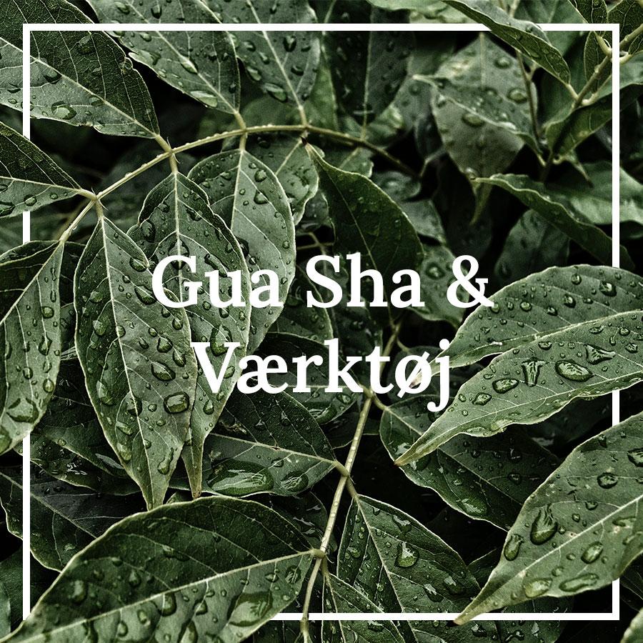 Gua Sha & Værktøj