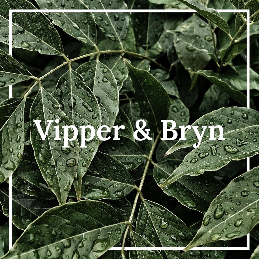 Vipper & Bryn