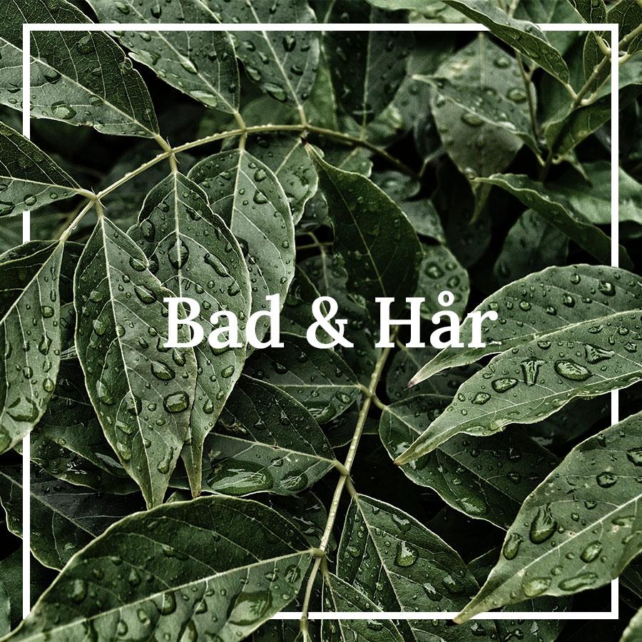 Bad & hår