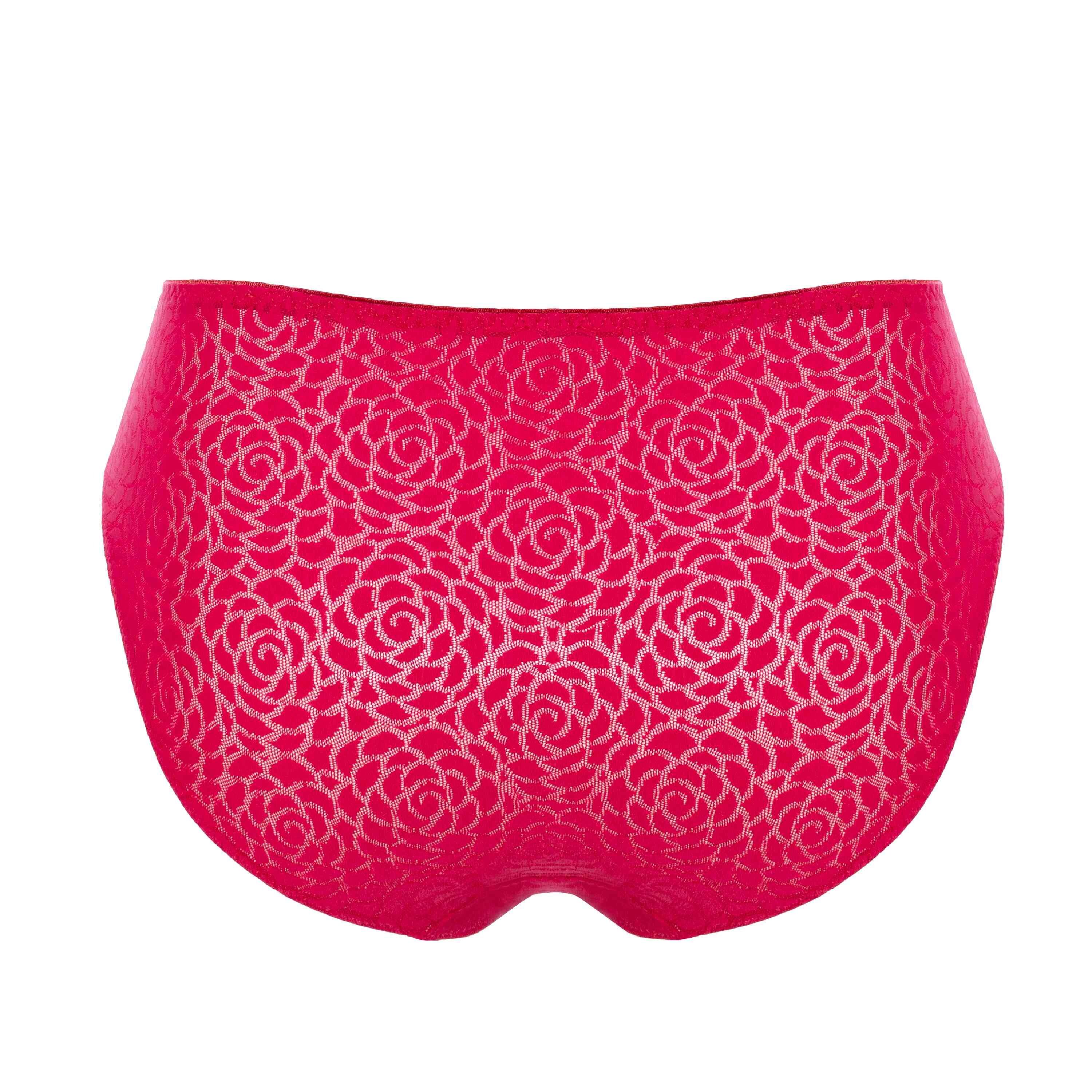 Romy Bikini Briefs rear