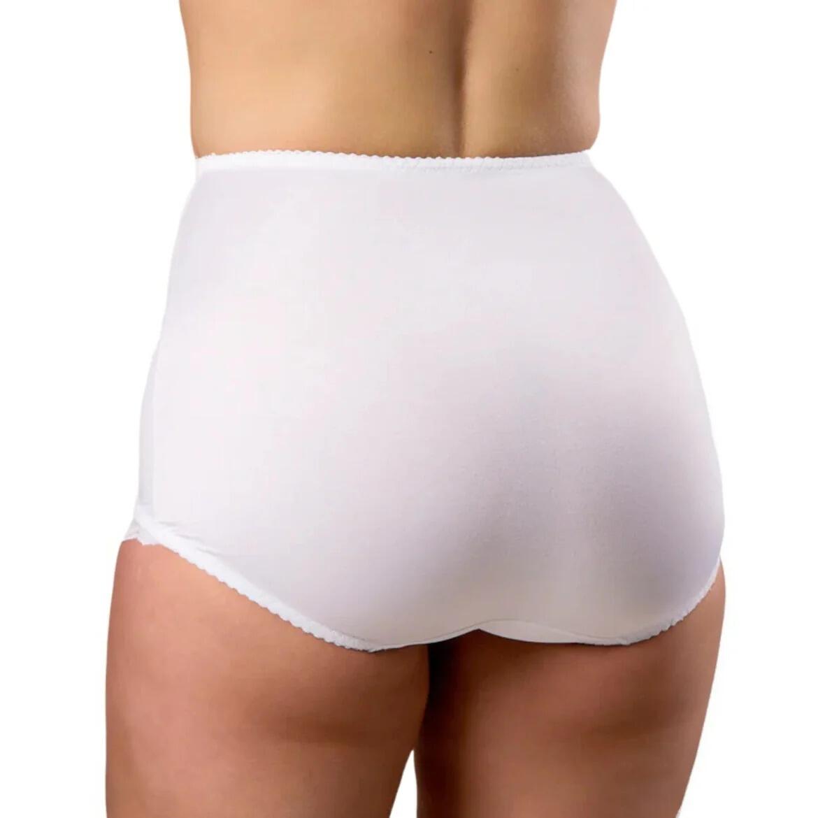 Lace Trimmed Shaping Panty rear