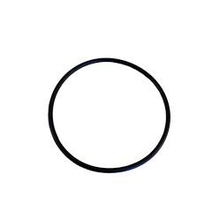 o ring 2
