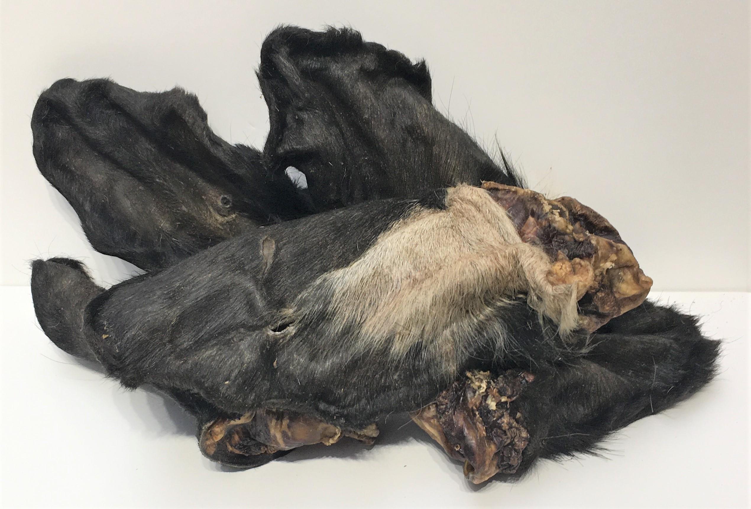 Cows Ears with Fur