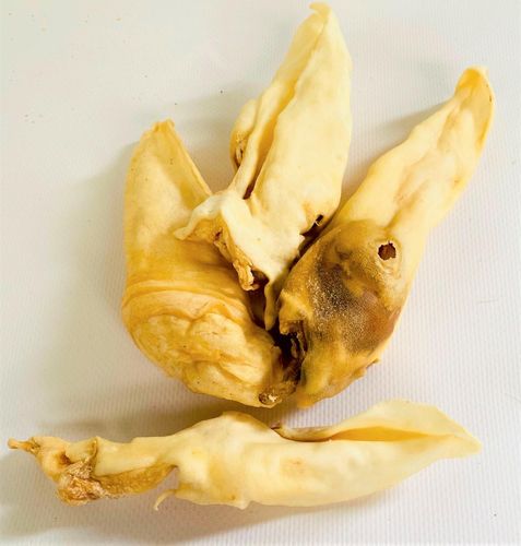 Lamb Ears - Hypoallergenic Natural Dog Treats
