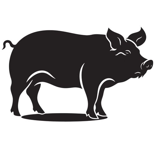 Natural Pig Treats and Chews for Dogs