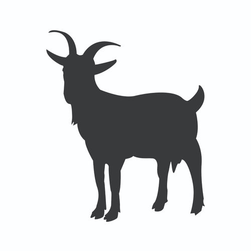 Natural Goat Products: Premium, Healthy Dog Treats