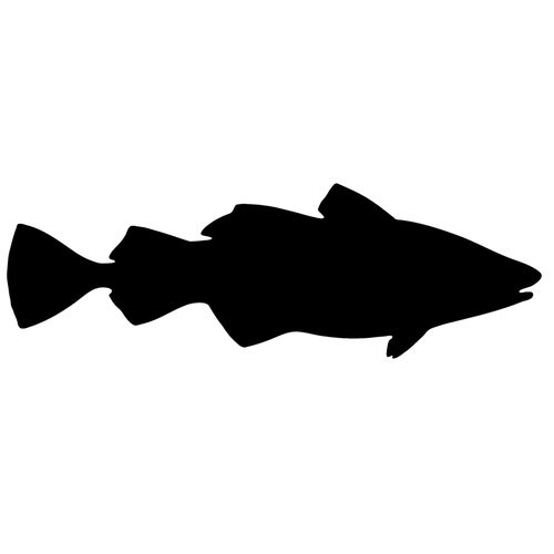 Fish Products