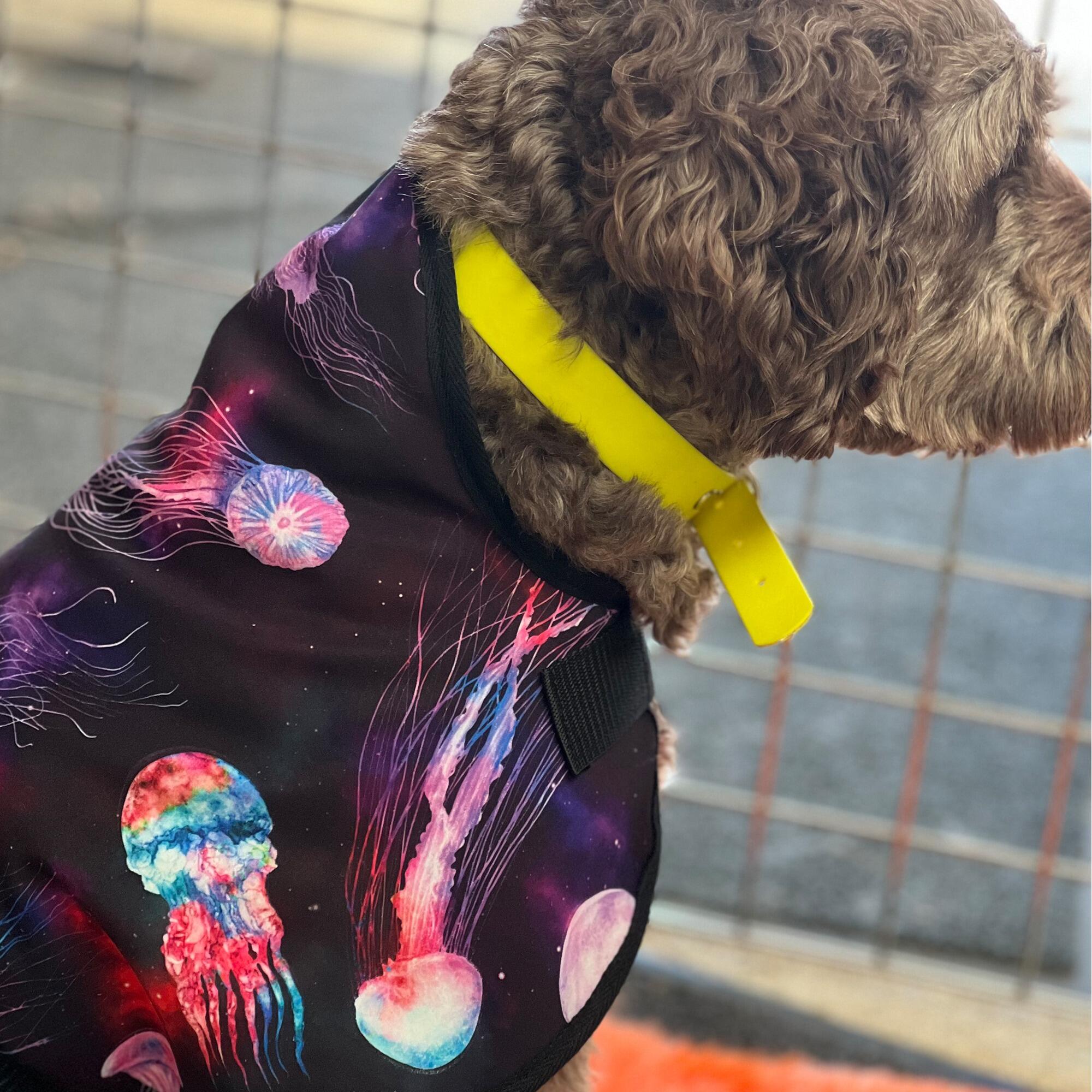 Cosmic Jellyfish Waterproof Fleece Dog Coats – Keep Your Pup Warm, Dry, and Stylish
