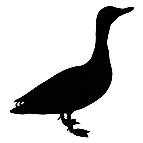 Natural Duck Treats and Chews