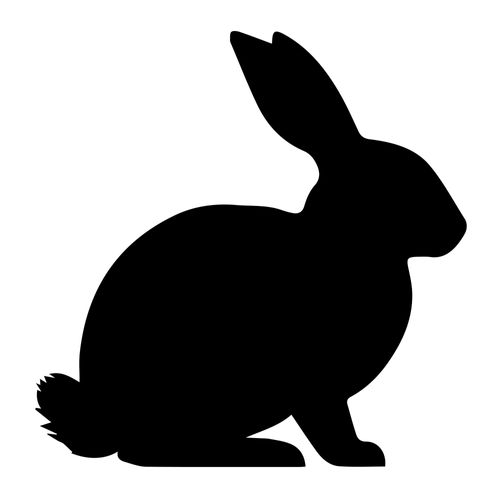 Natural Rabbit Treats & Chews