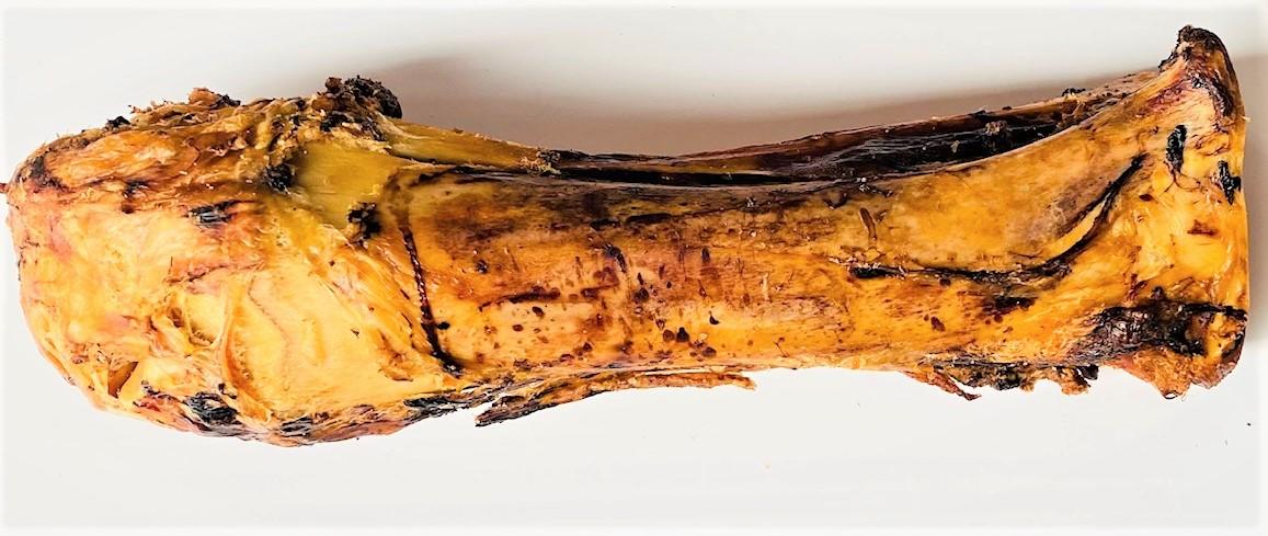 Jurassic Bone - Whole Roasted Beef Bone: The Ultimate Long-Lasting Chew