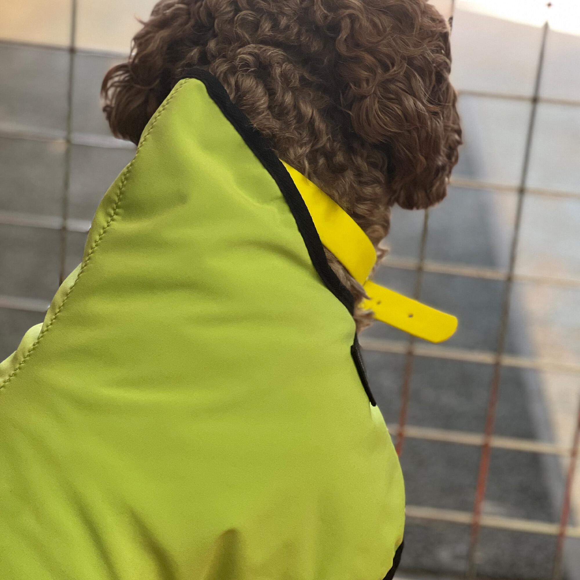 Vivid Green Waterproof Fleece Dog Coats – Keep Your Pup Warm, Dry, and Stylish