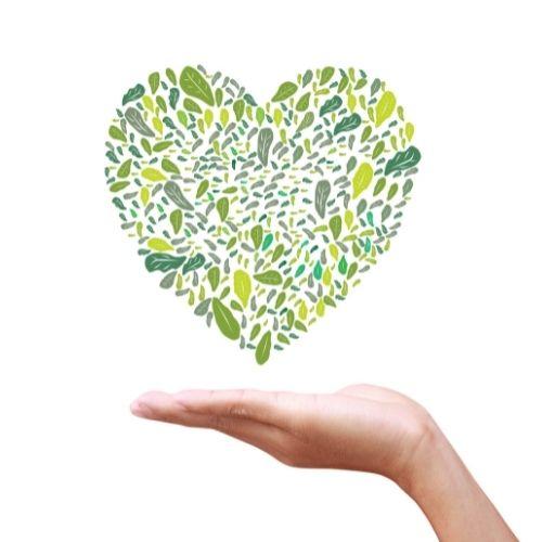 Organic & Sustainable clothing hand green heart