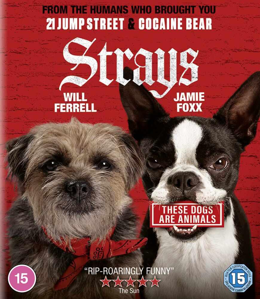Strays Blu-Ray