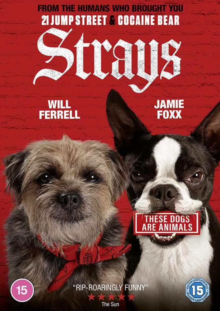 Strays DVD