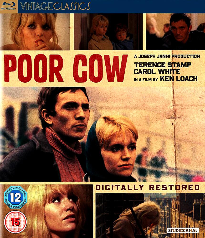 Poor Cow Blu-Ray