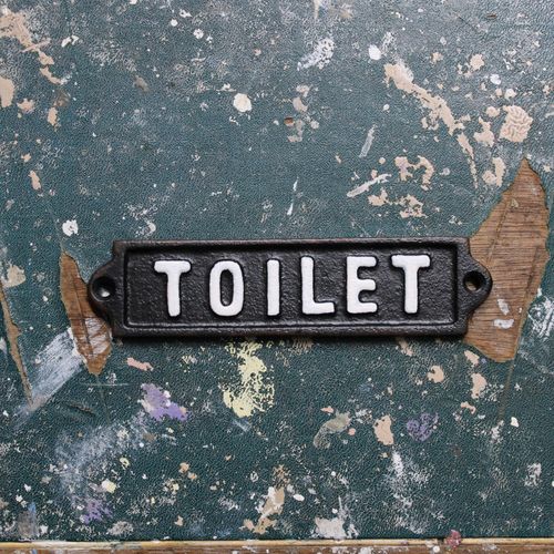 metal toilet wall plate on a vintage table top