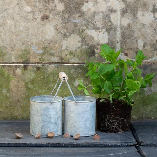 vintage rustic zinc twin pot with wooden handle in the garden
