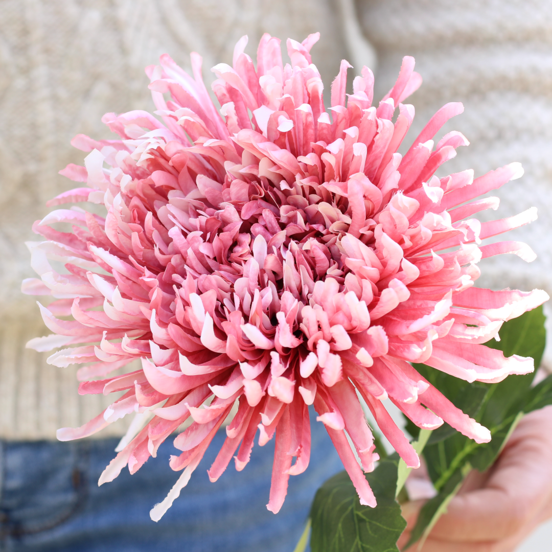 large single head artificial pink fuji mum stem with spiky petals