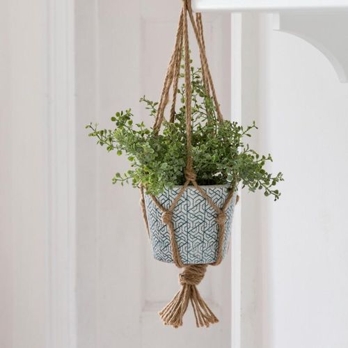 Rope plant hanger with clay pot and plant