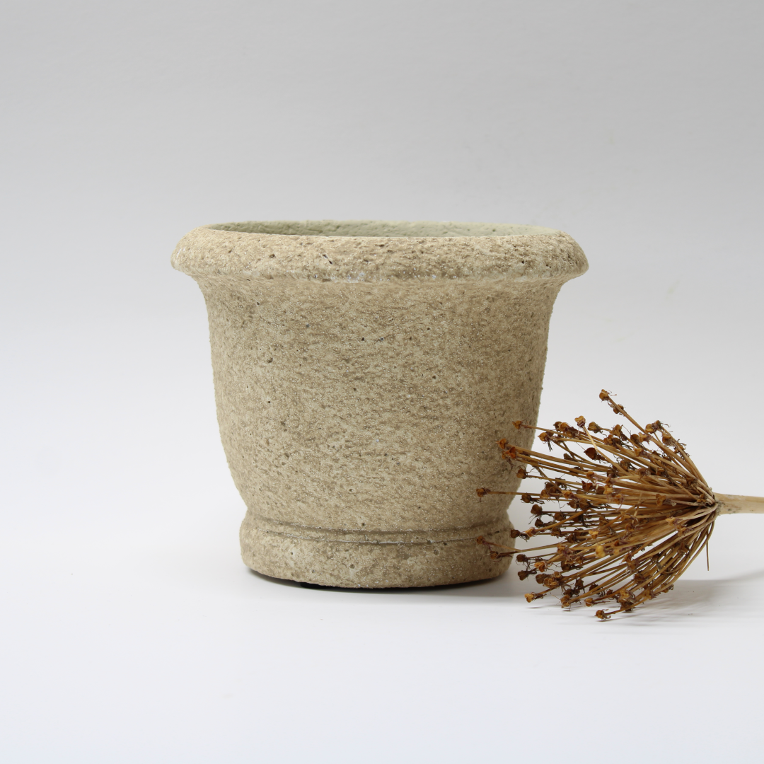 distressed cement plant pot view from the front next to dried flower