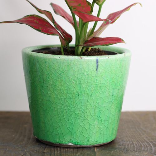 rustic plant pot with green glaze