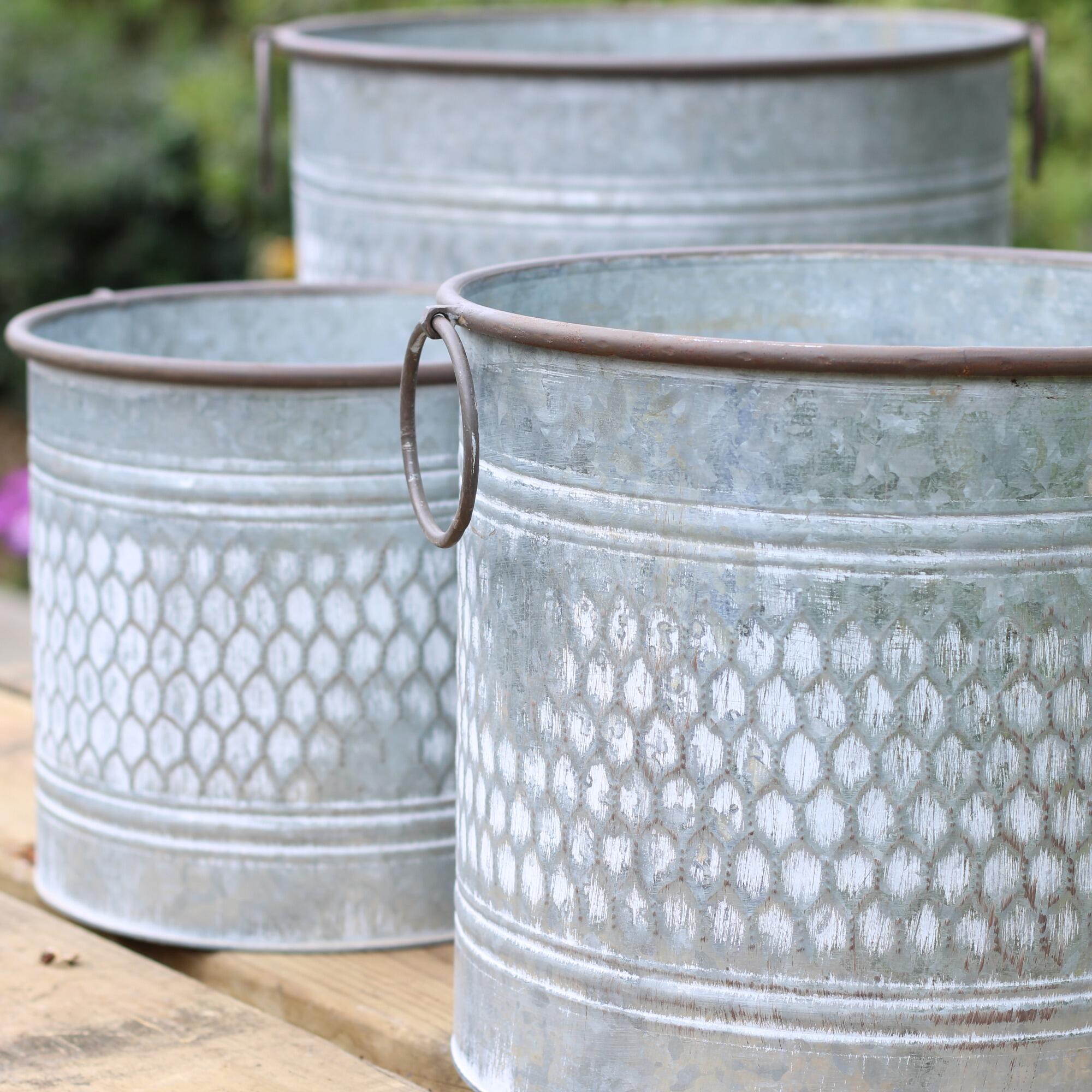 Zinc planters with a weathered grey finish