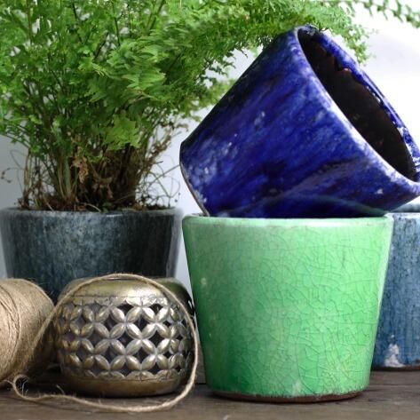 collection of rustic indoor plant pots