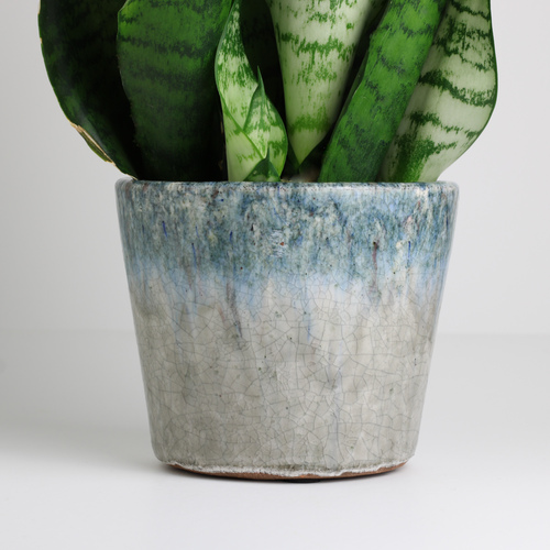 rustic terracotta indoor plant pot
