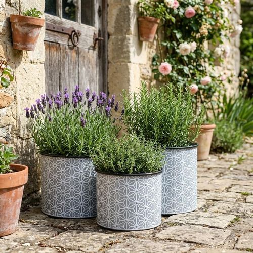 Set of 3 zinc garden planters with herbs