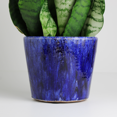 small blue glazed plant pot with distressed finished displayed with snake plant