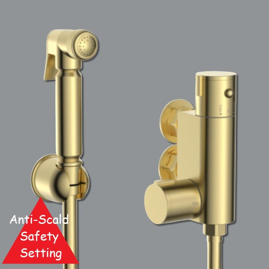 Aquatec Brushed Brass Thermostatic Douche Shower Kit