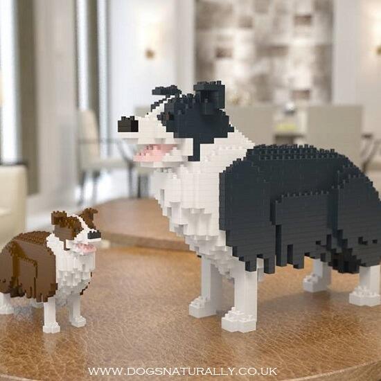 Border Collie Dog Lego Black & White & Red & White (Jekca) Small and Medium