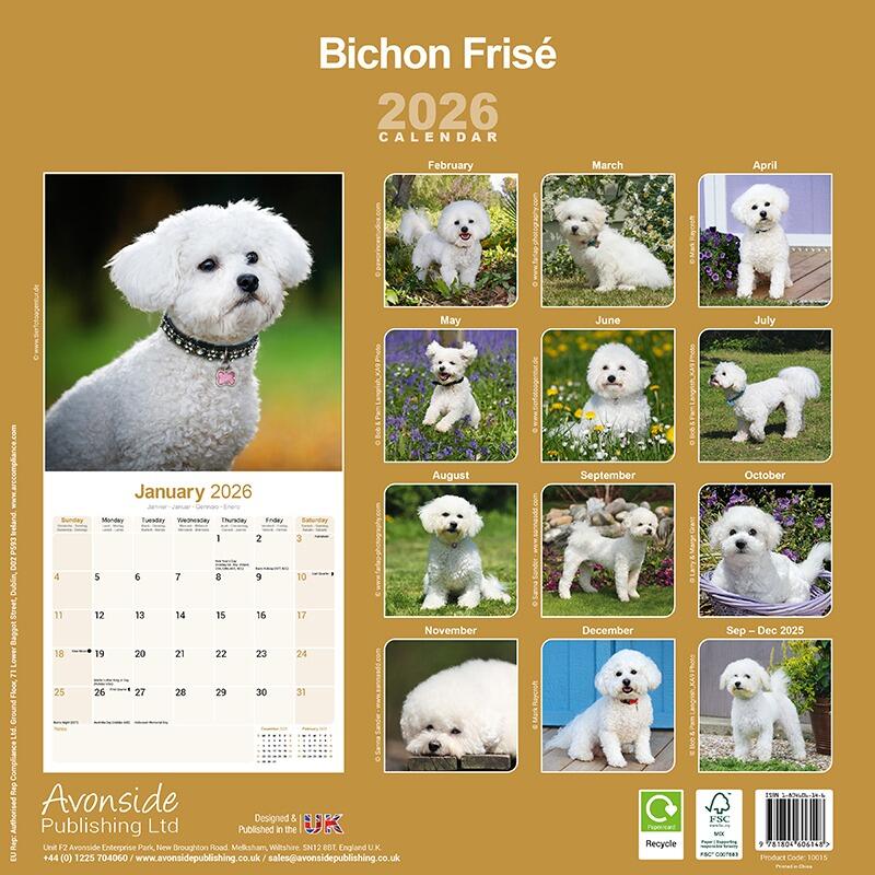 Bichon Calendar