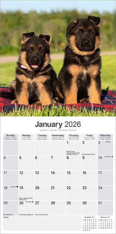 German Shepherd Calendar 2026 Planner