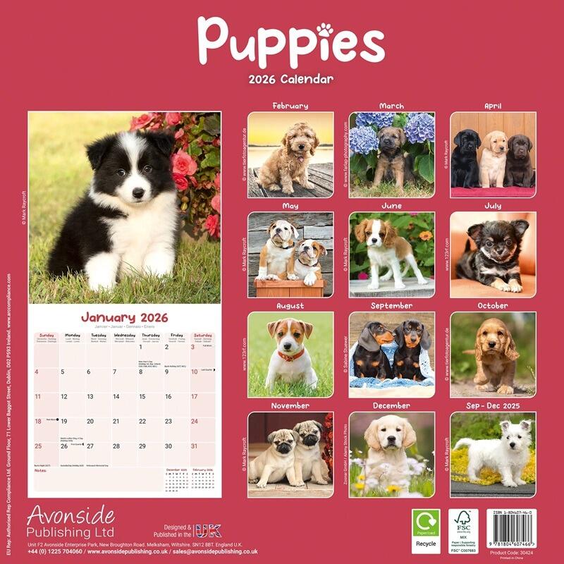 Puppy Dog Calendar