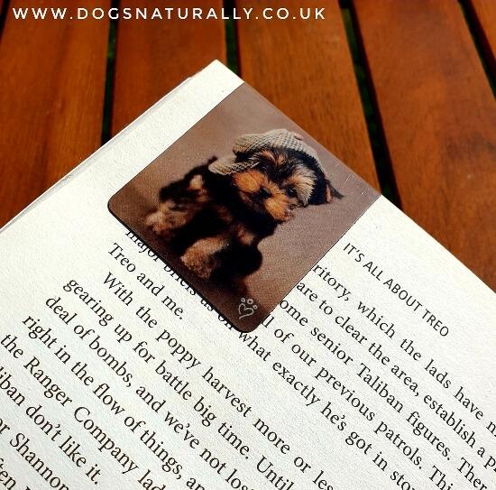 Yorkshire Terrier Puppy Magnetic Page Marker Bookmark - Maxwell