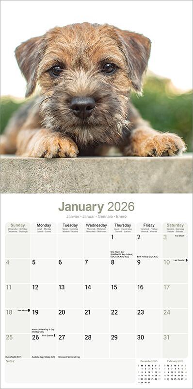 Border Terrier Calendar Inside
