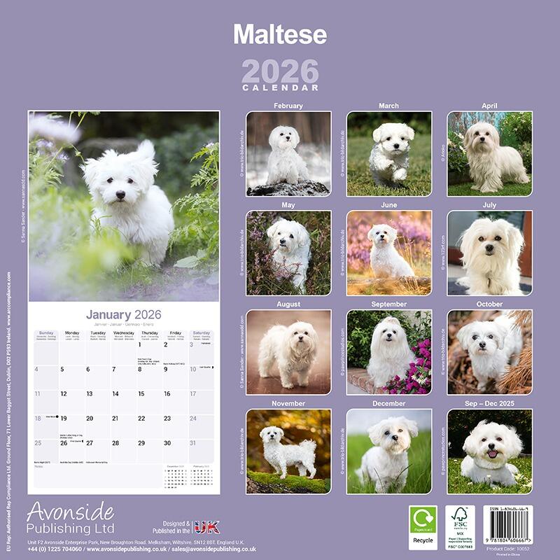 Maltese Wall Calendar 2026