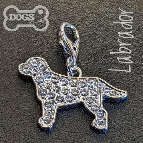 Labrador Crystal Dog Charm