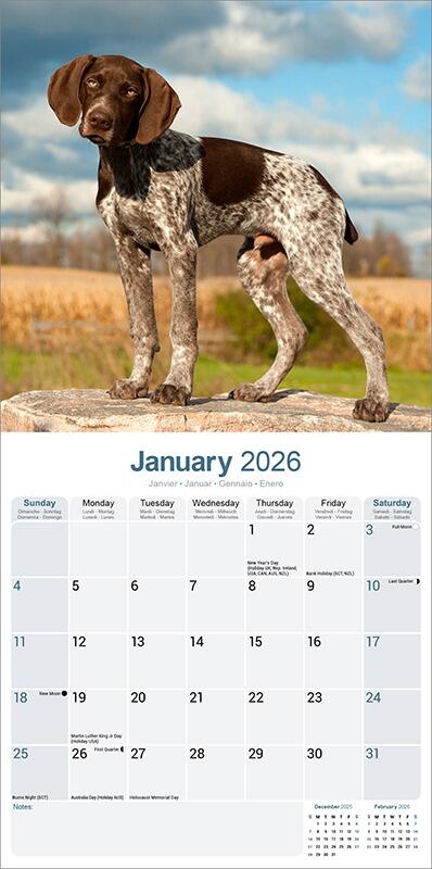 German Shorthaired Pointer Calendar 2026 Planner