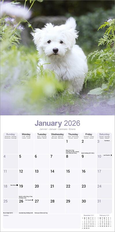Maltese Calendar 2026 Planner