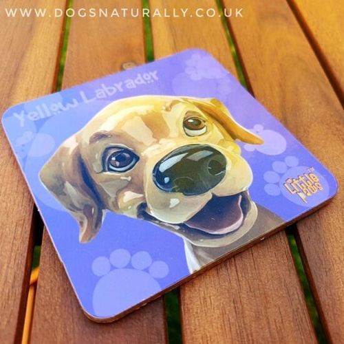 Yellow Labrador Fun Dog Coaster