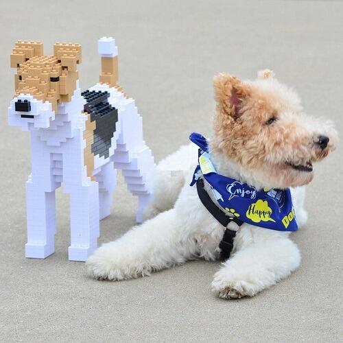 Wirehaired Fox Terrier Dog Building Kit