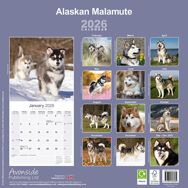 Alaskan Malamute Lover Calenda