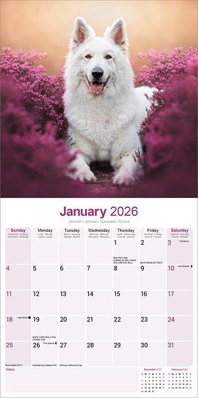 White Shepherd Calendar 2026 Planner